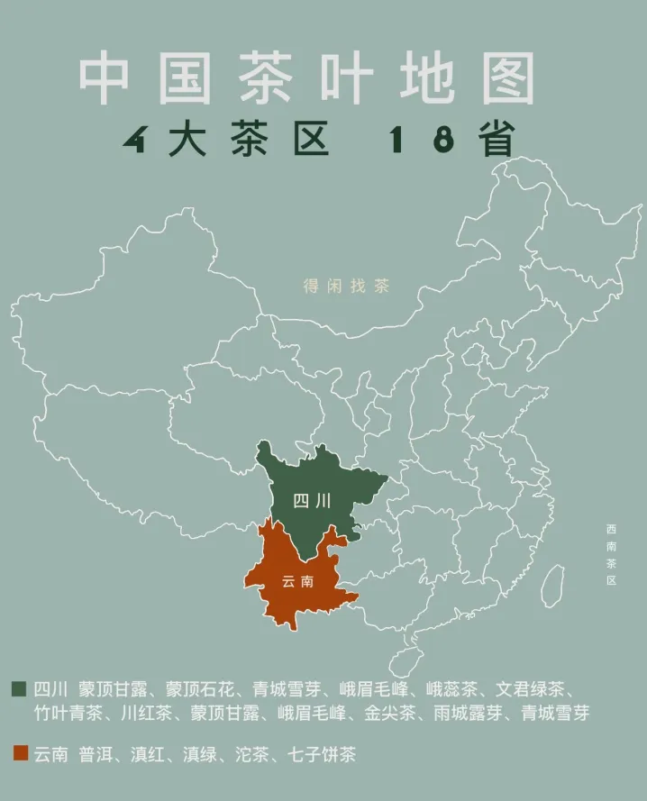 西南茶区