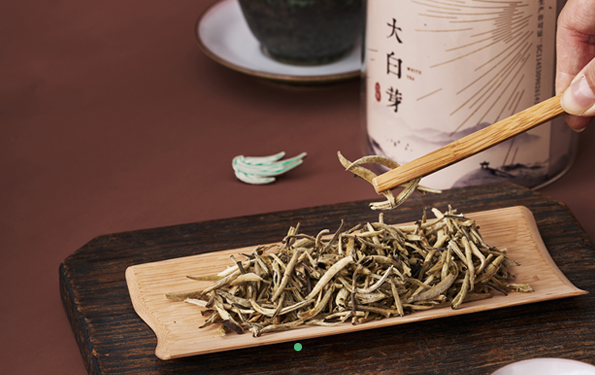 燕语大白芽