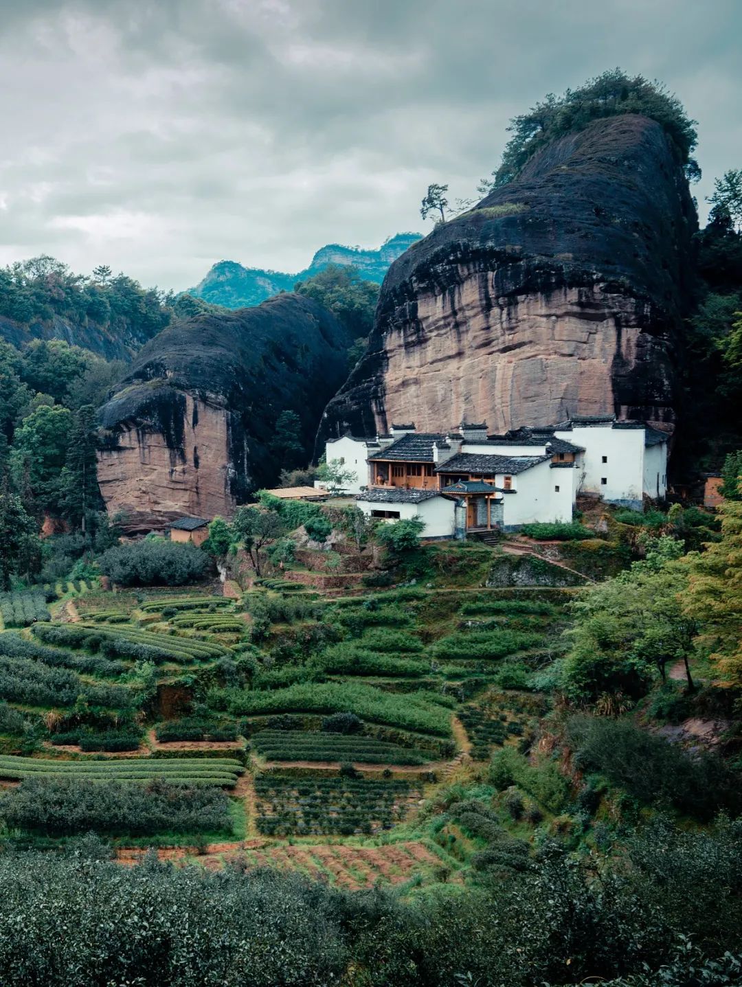 福建 | “搞乌龙”发源地